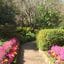 The E. G. Waterhouse National Camellia Gardens High Tea Lunch Image -648ce24137638